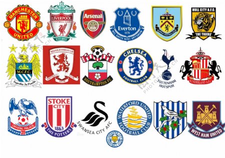 共卫生基础 共卫生基础